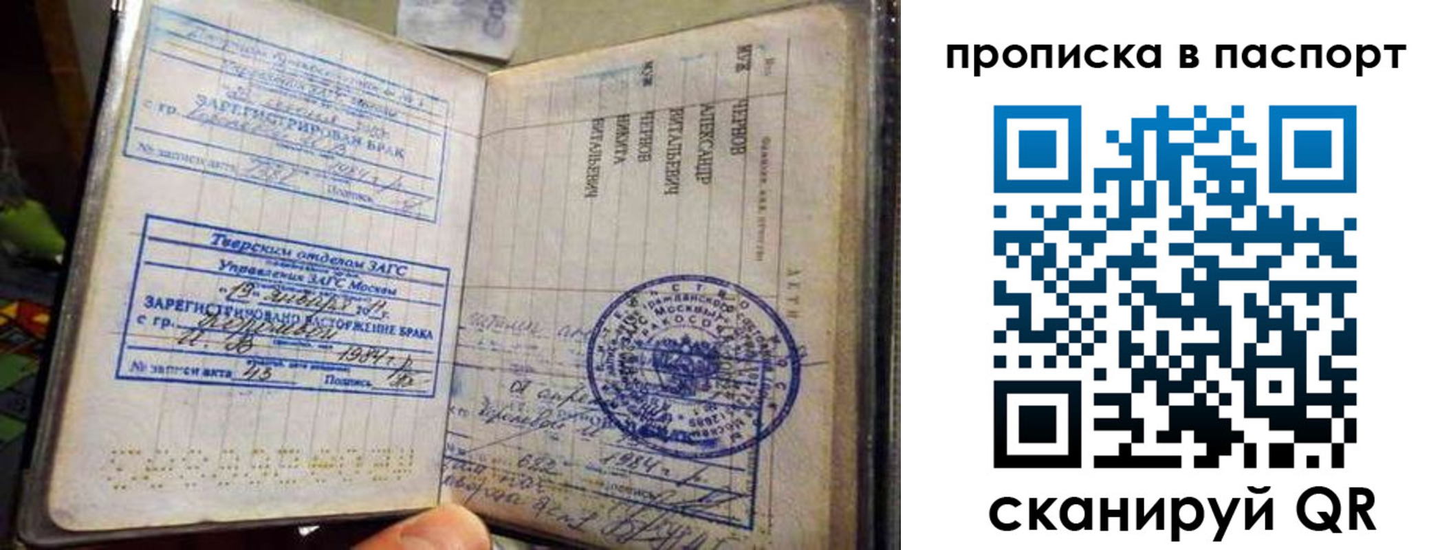 прописка поиск в Железногорске